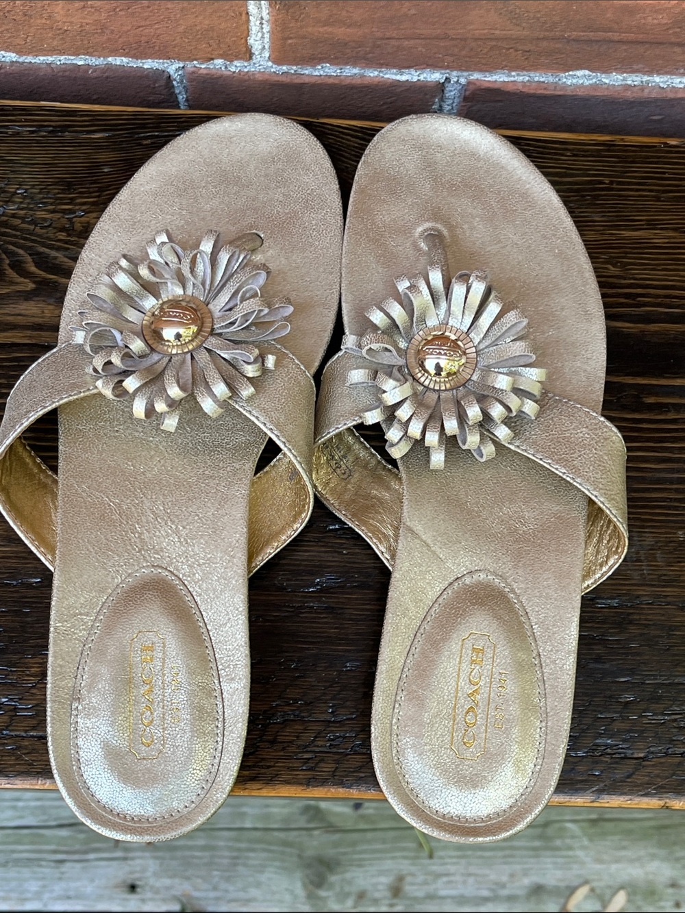 Coach Skye Metallic Champagne Gold Flower Thong Sandals - Picture 7 of 11